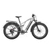 Vanpowers GrandTeton Pro Fat Tire Electric Mountain Bike  Electric Bikes Paradise
