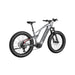 Vanpowers GrandTeton Ultra Mid Drive Fat Tire Electric Bike  Electric Bikes Paradise