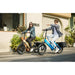 GoPowerBike GoPlus 500W Step-Through Folding Fat Tire Electric Bike  Electric Bikes Paradise
