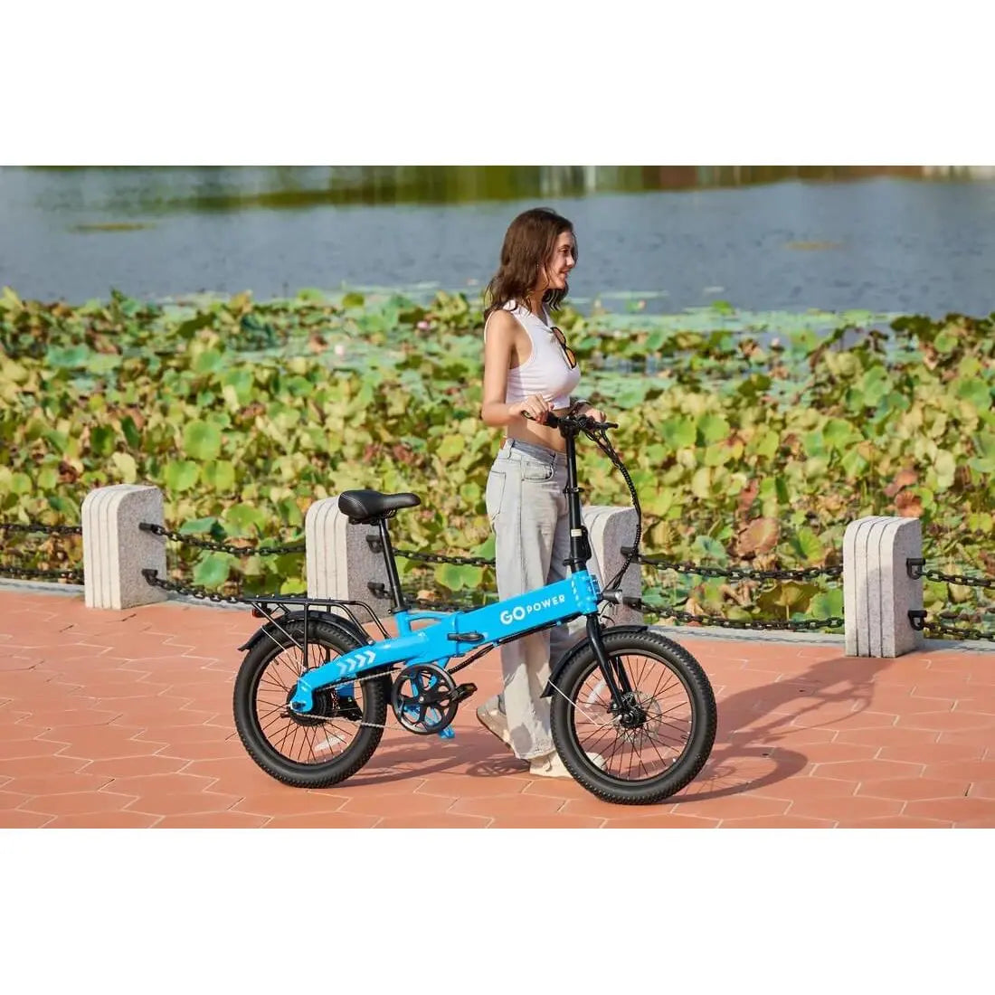 GoPowerBike GoVolt 500W 48V Folding Electric Bike  Electric Bikes Paradise
