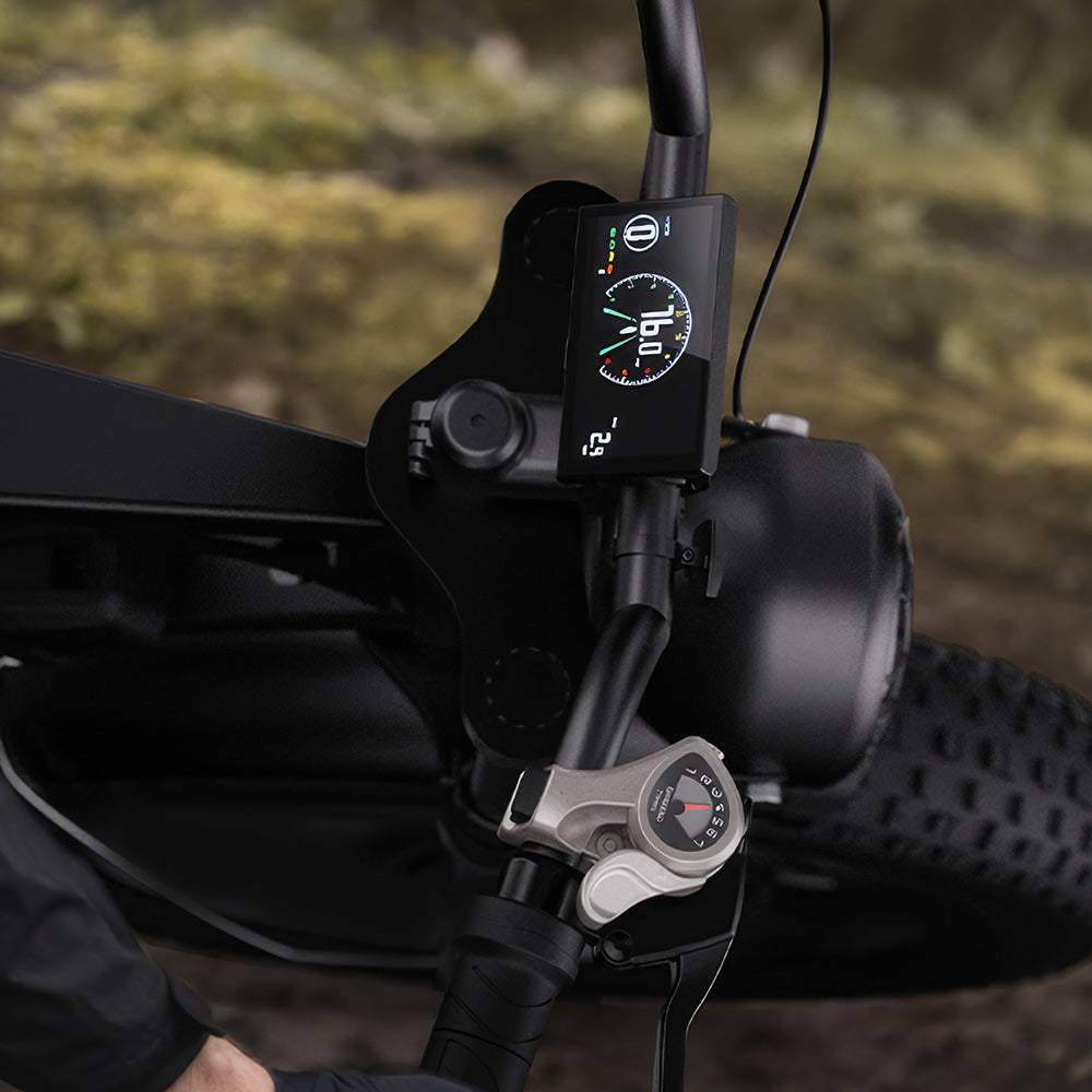 Cycrown CycHunter Moped-Style Electric Bike