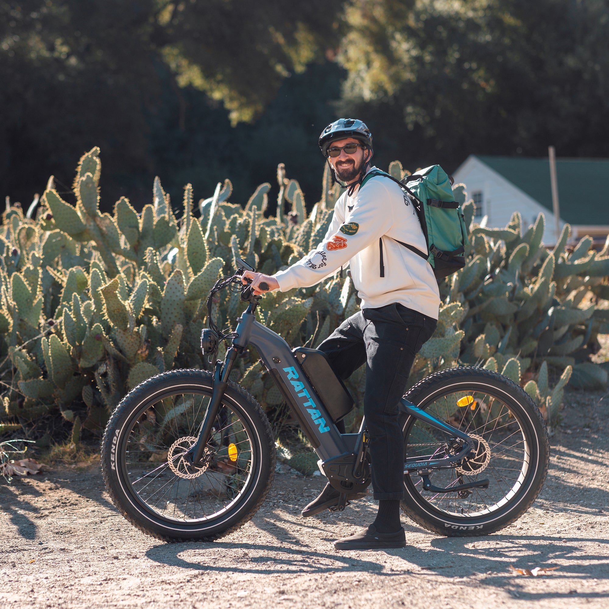 Rattan Sequoia Step Thru Fat Tire Electric Mountain Bike