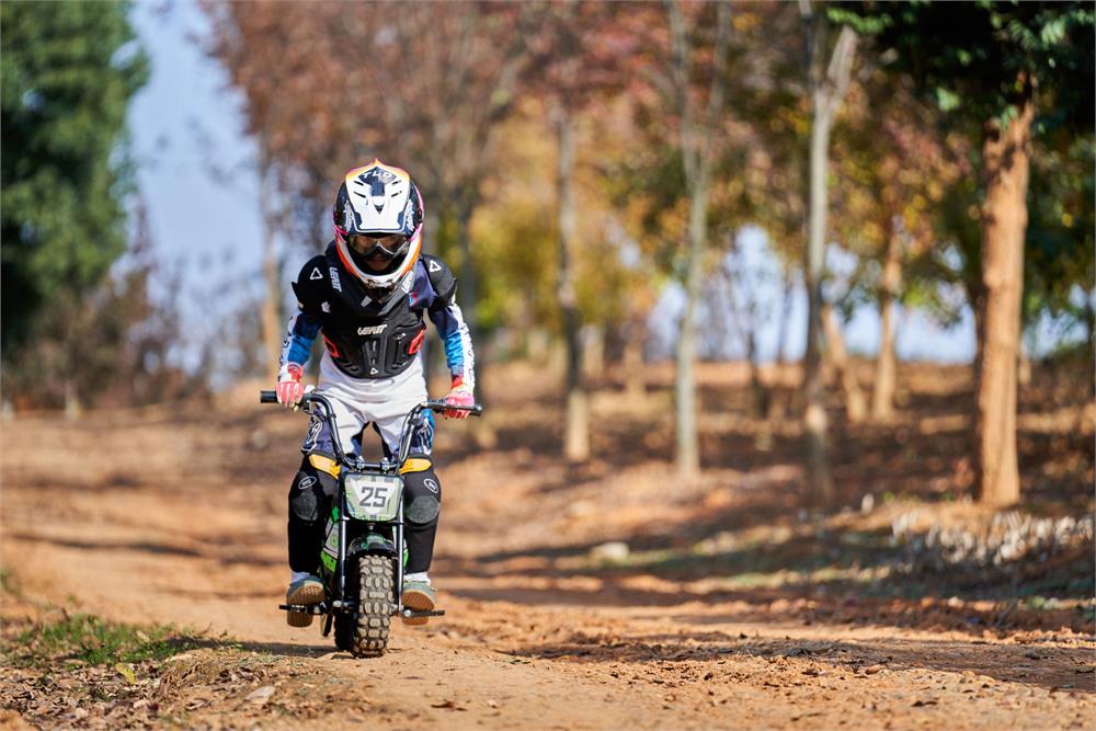 MotoTec 24V 250W Electric Mini Bike