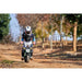 MotoTec 24V 250W Electric Mini Bike 