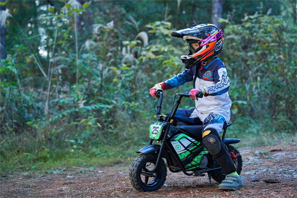 MotoTec 24V 250W Electric Mini Bike