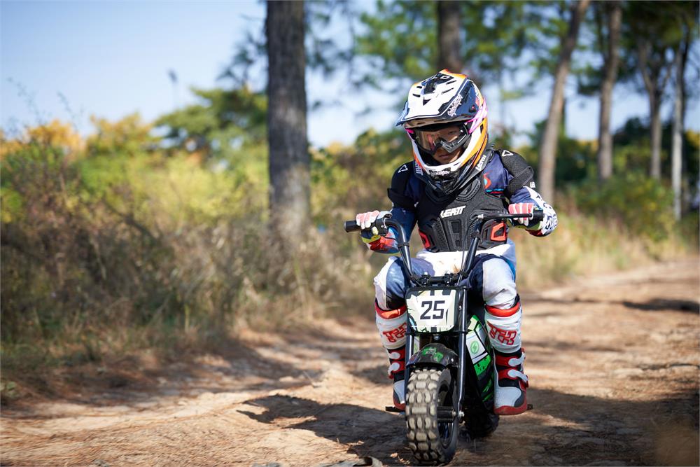 MotoTec 24V 250W Electric Mini Bike