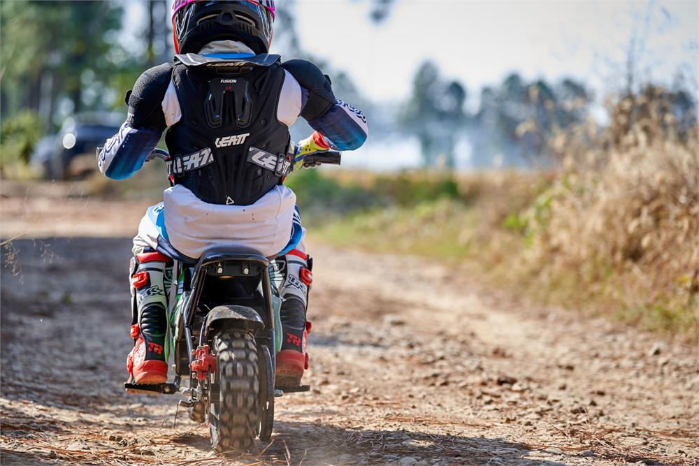 MotoTec 24V 250W Electric Mini Bike