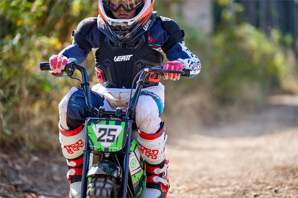 MotoTec 24V 250W Electric Mini Bike