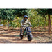 MotoTec 60V 1500W Electric Mini Bike  Electric Bikes Paradise