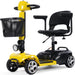 MotoTec Mobility Scooter PLUS 24V 250W Mobility Scooter 