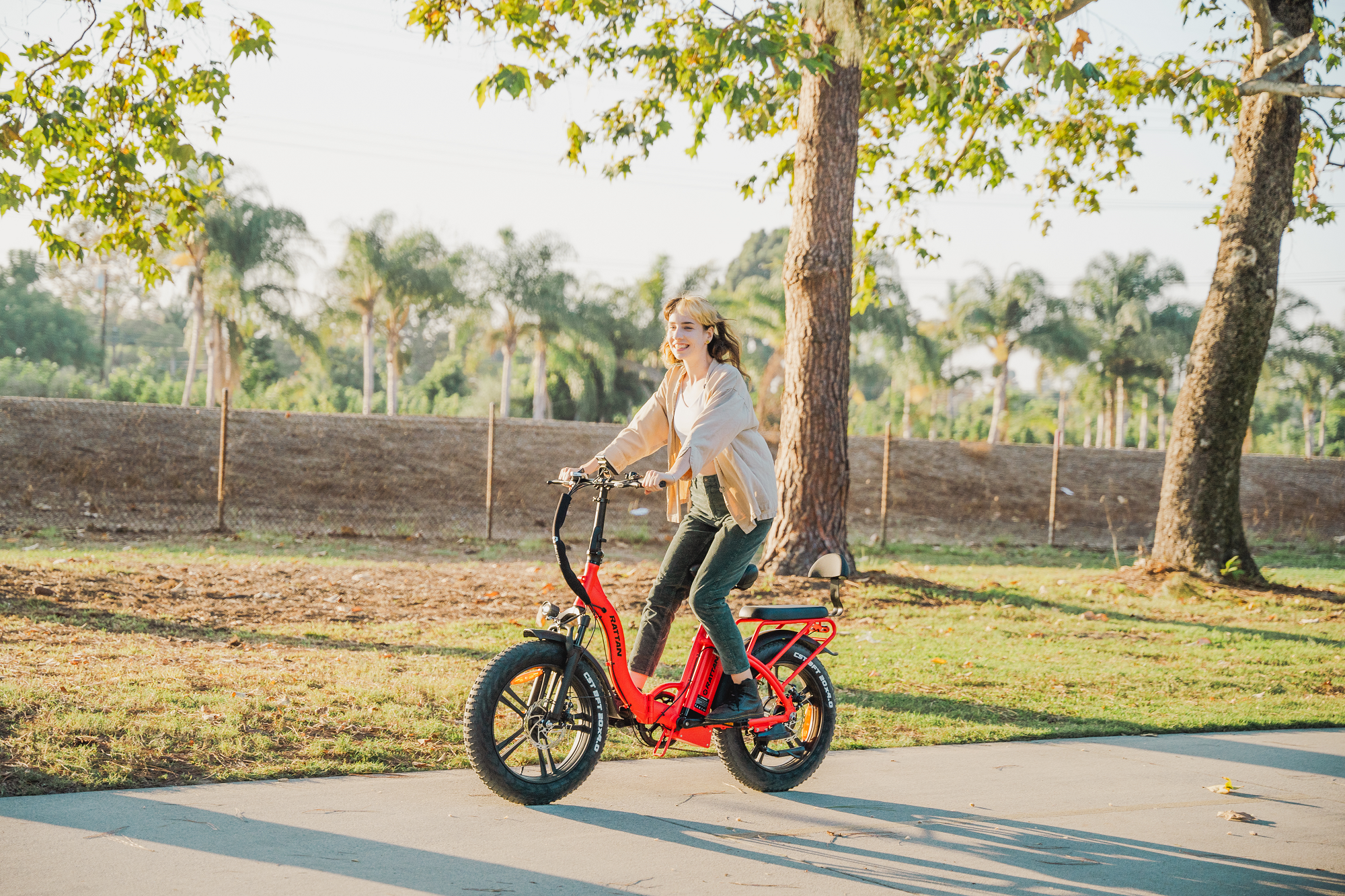 Rattan LF 750 Pro Step Thru Folding Fat Tire Electric Bike