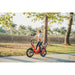 Rattan LF 750 Pro Step Thru Folding Fat Tire Electric Bike 