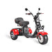 SoverSky T7.1 T7.2 2000W Electric Mobility Adult Trike Scooter  Electric Bikes Paradise