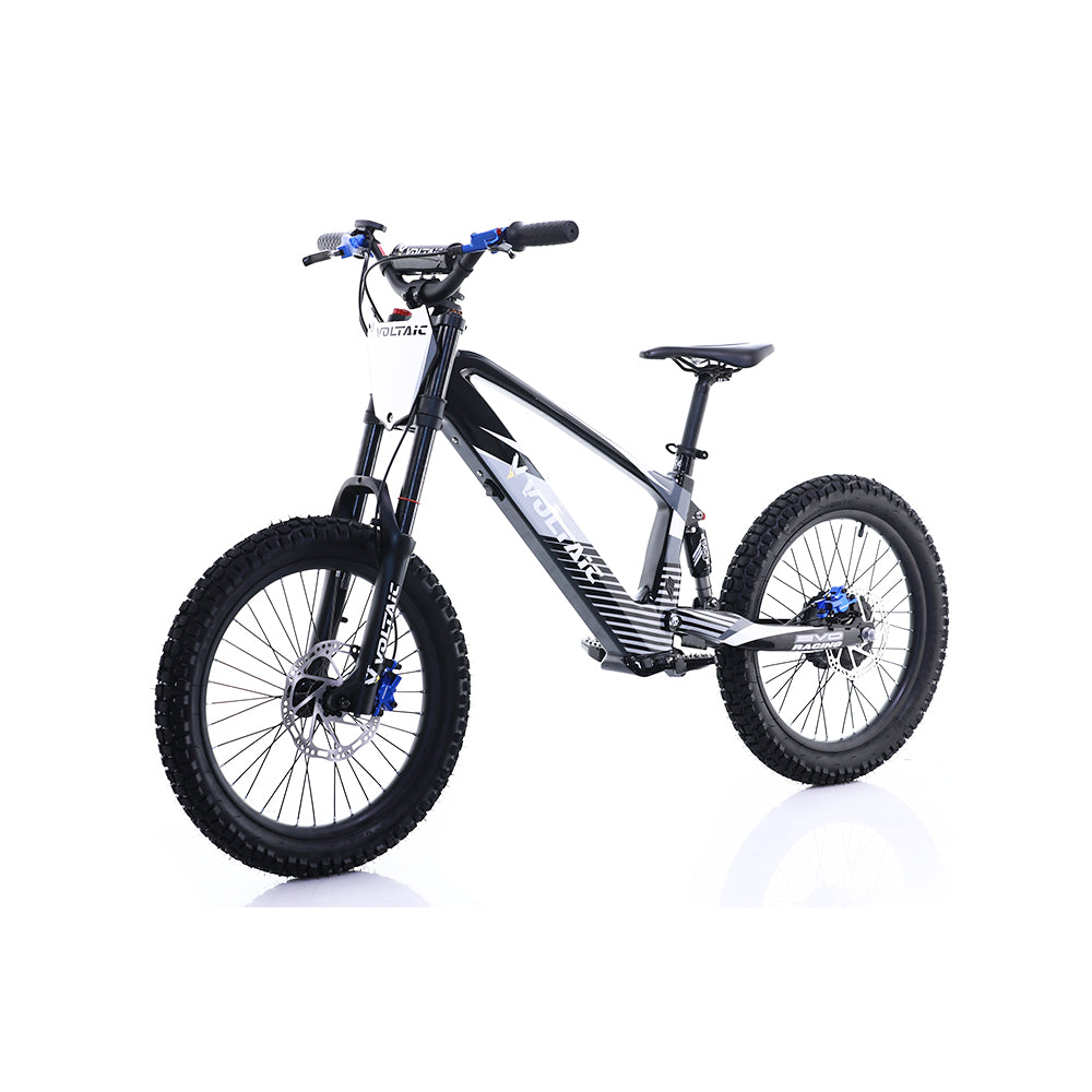 Voltaic Flying Fox 20-Inch Youth Electric Dirt Bike with Hydraulic Brakes
