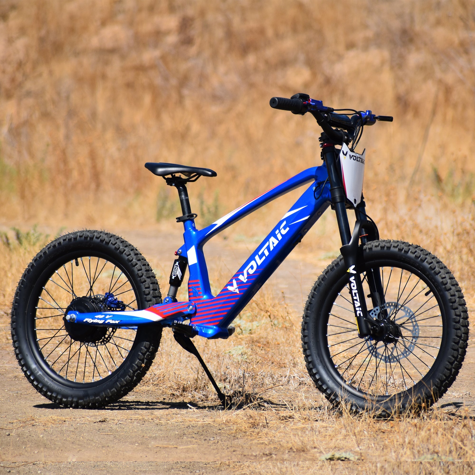 Voltaic Flying Fox 20-Inch 48V Youth Electric Dirt Bike with Hydraulic Brakes