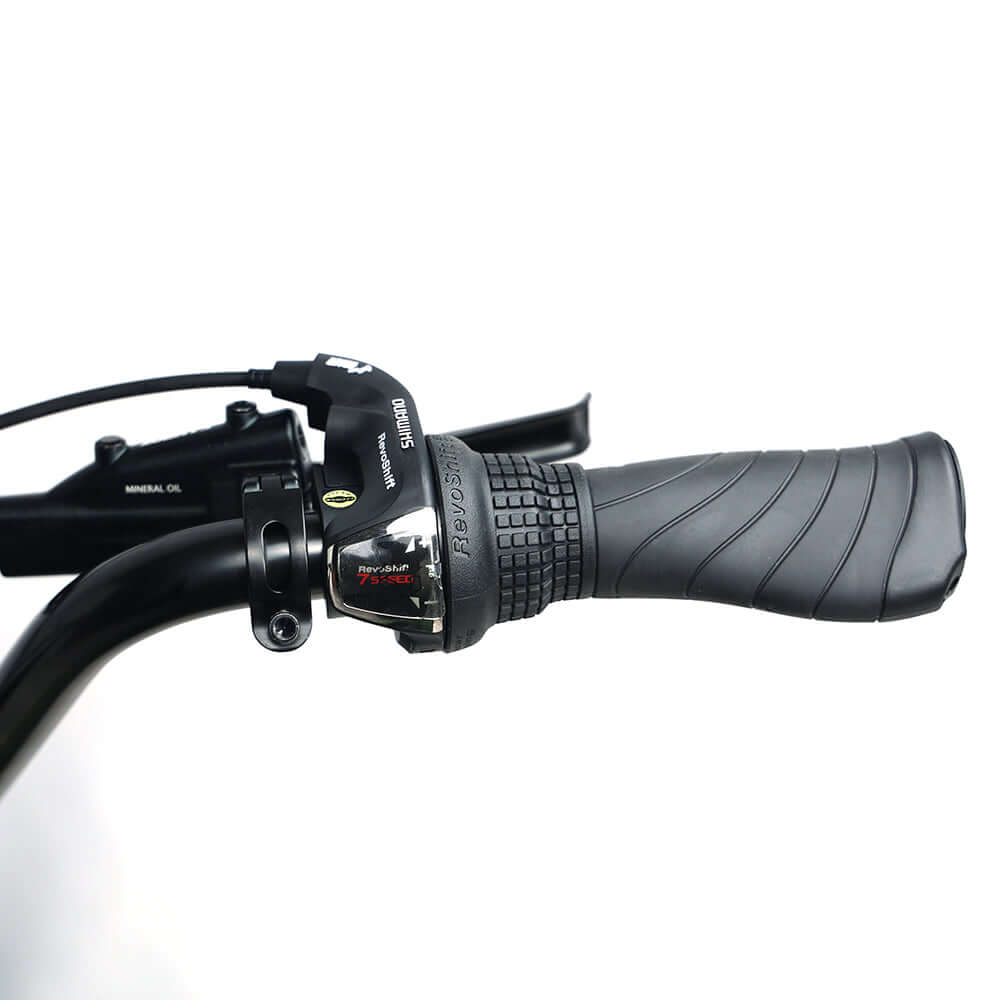Tracer Verge 800W Fat Wheel Electric Motorbike