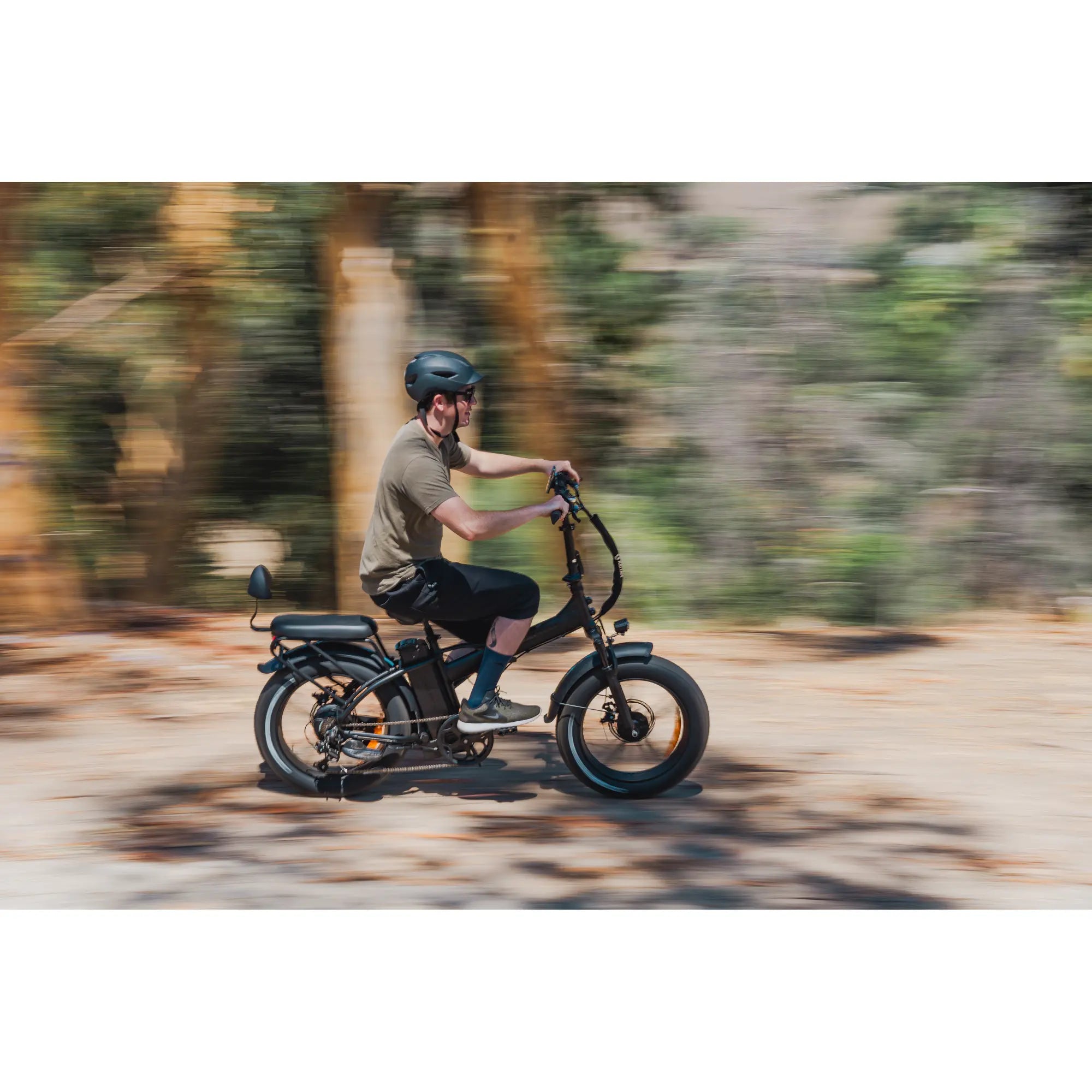 Rattan LM 750 Pro Folding Fat Tire Electric Bike 