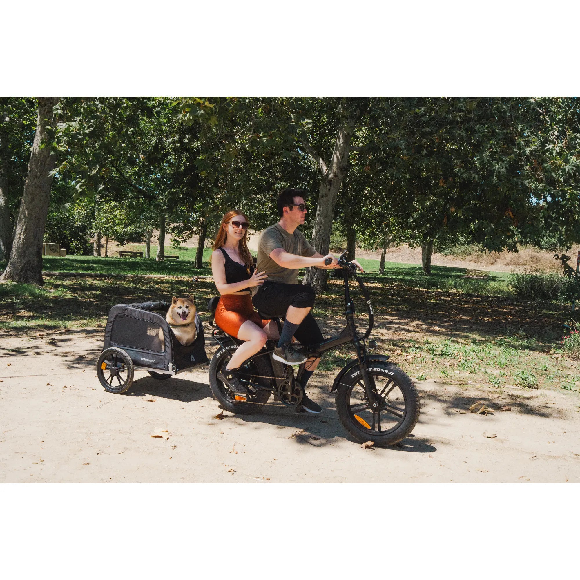 Rattan LM 750 Pro Folding Fat Tire Electric Bike 