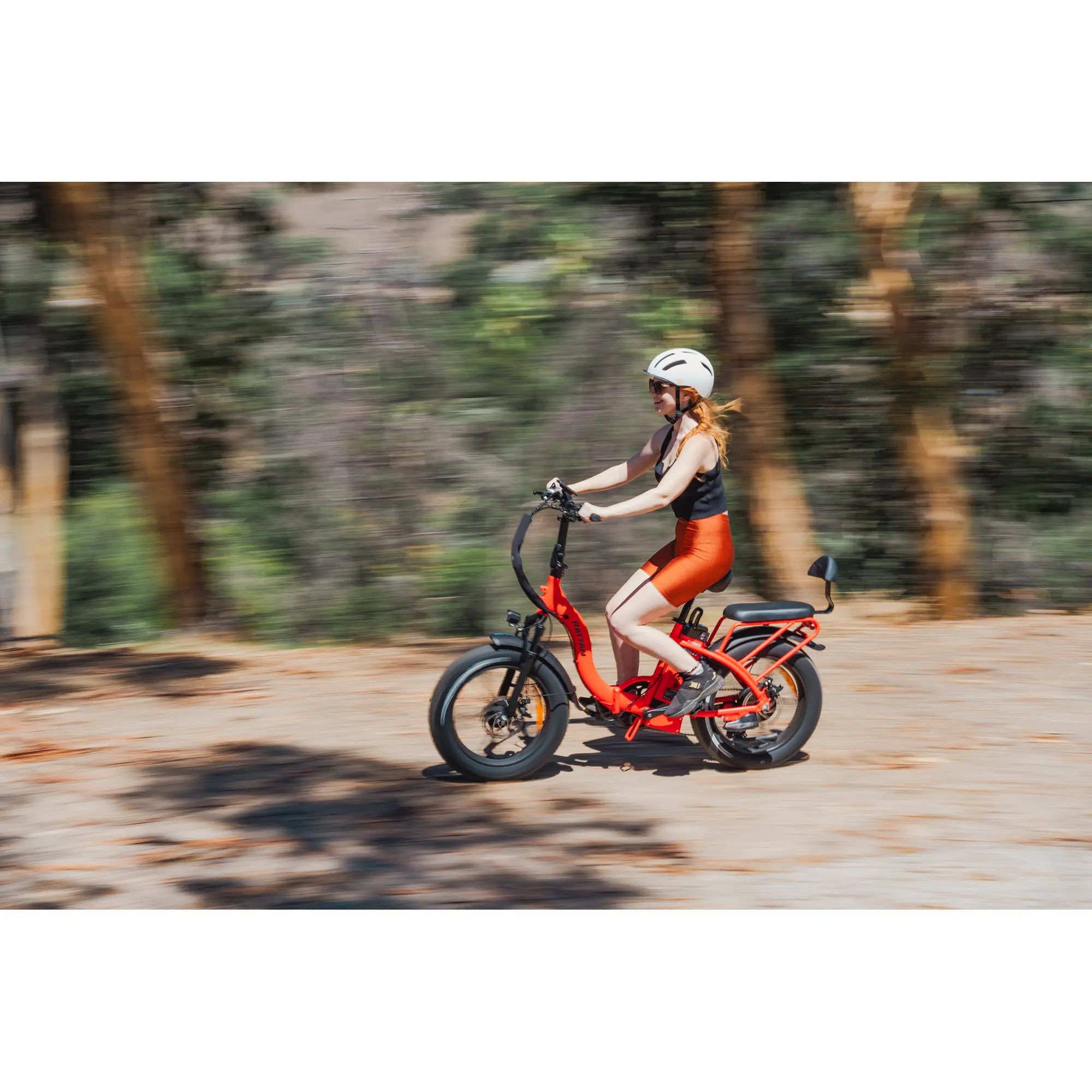 Rattan LF 750 Pro Step Thru Folding Fat Tire Electric Bike 