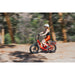 Rattan LF 750 Pro Step Thru Folding Fat Tire Electric Bike 
