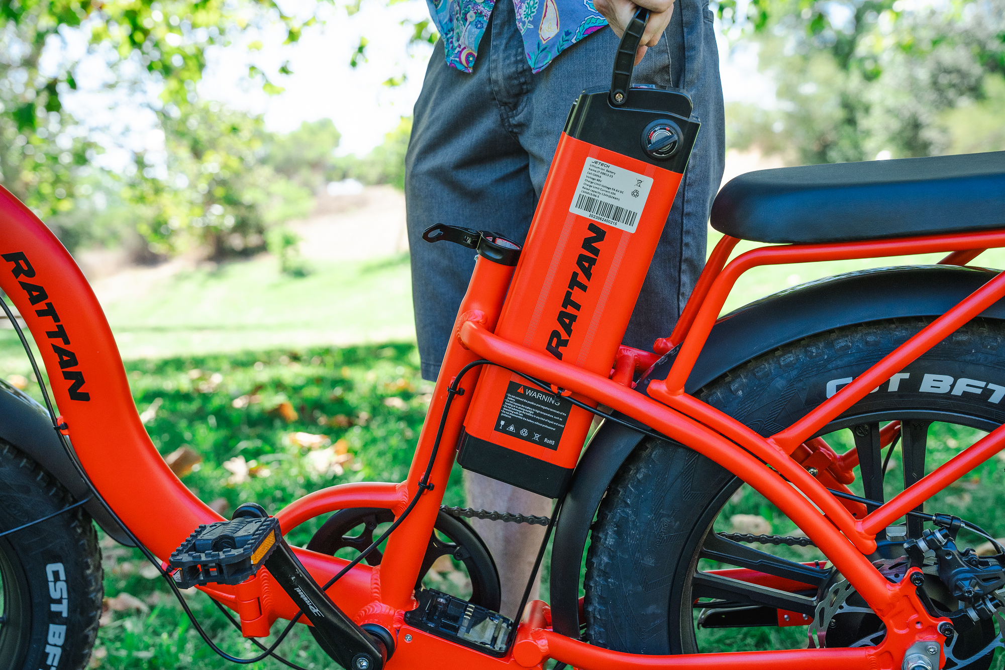 Rattan LF 750 Pro Step Thru Folding Fat Tire Electric Bike