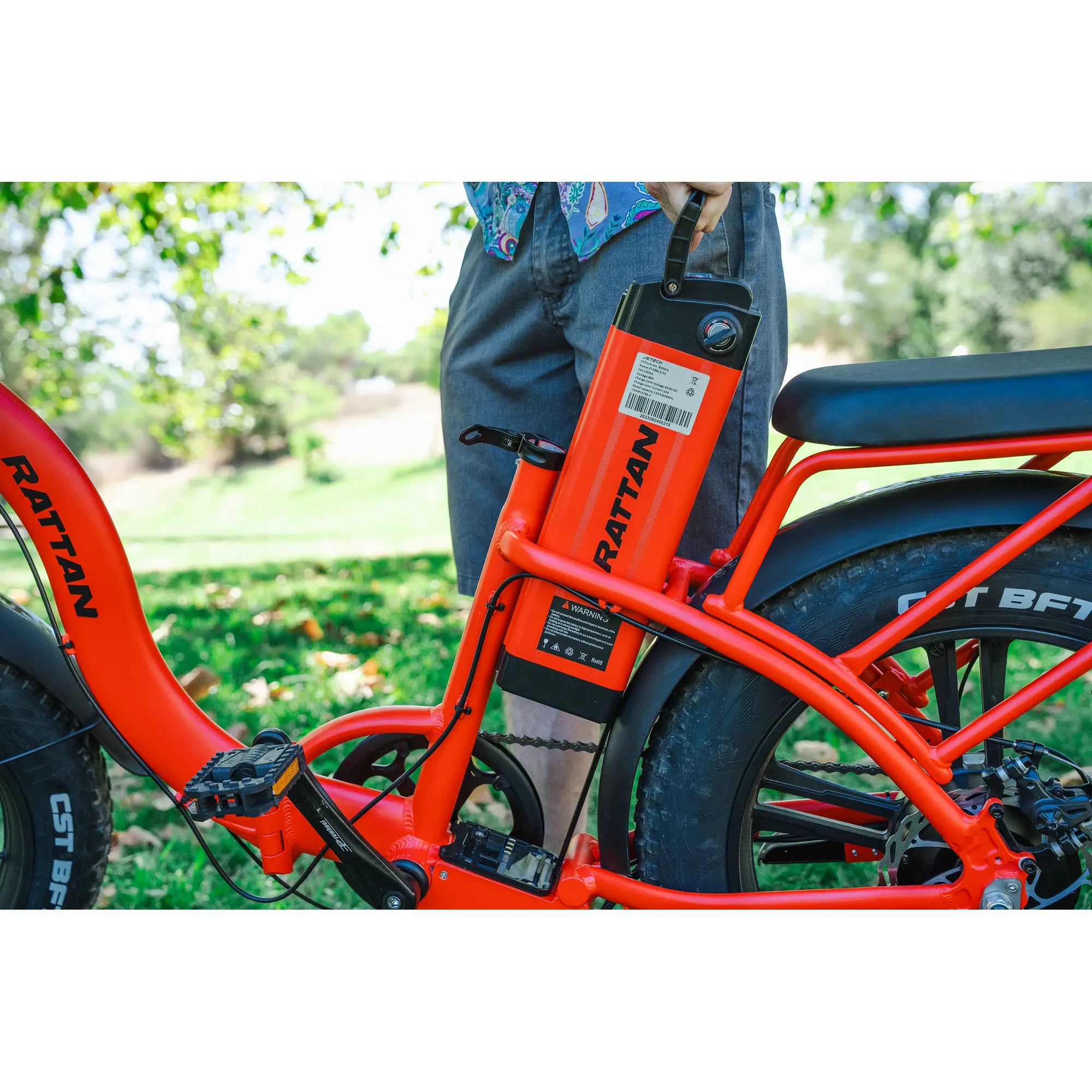 Rattan LF 750 Pro Step Thru Folding Fat Tire Electric Bike 