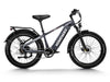 Himiway D5 Zebra Electric Fat Tire Bike  Electric Bikes Paradise