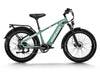 Himiway D5 Zebra Electric Fat Tire Bike  Electric Bikes Paradise
