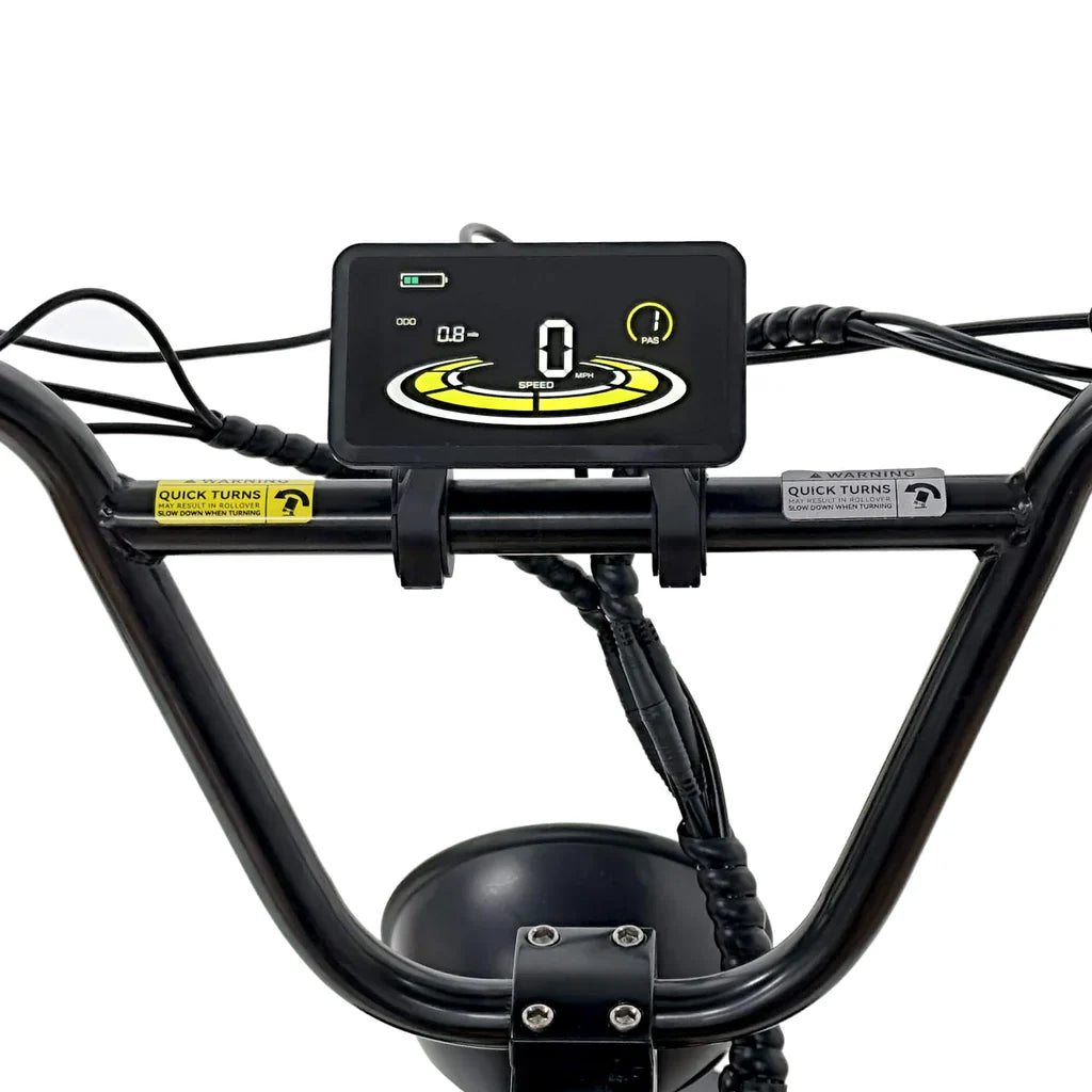 Nakto F4 Fat Tire Electric Bike