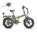 Rattan LM 750 Pro Folding Fat Tire Electric Bike 