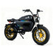 SoverSky Black Warrior Lithium Bike Pro Fat Tire Electric Bike  Electric Bikes Paradise