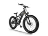 Himiway D3 Cruiser Electric Fat Tire Bike  Electric Bikes Paradise