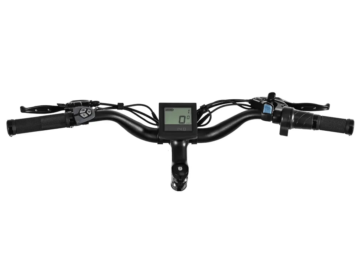 Himiway D3 Cruiser Step-Thru Electric Fat Tire Bike  Electric Bikes Paradise