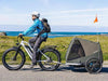 Himiway D3 Cruiser Step-Thru Electric Fat Tire Bike  Electric Bikes Paradise