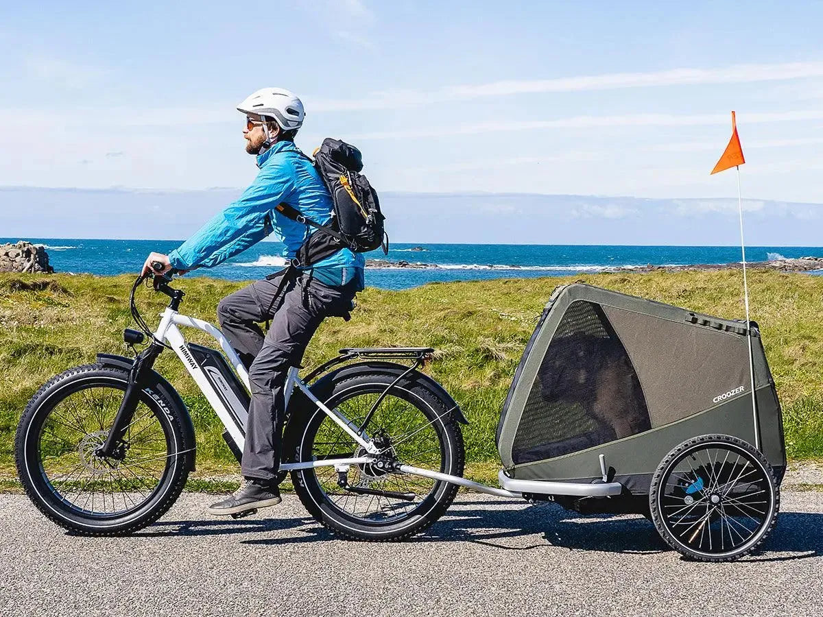 Himiway D3 Cruiser Step-Thru Electric Fat Tire Bike  Electric Bikes Paradise