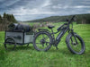 Himiway D3 Cruiser Electric Fat Tire Bike  Electric Bikes Paradise
