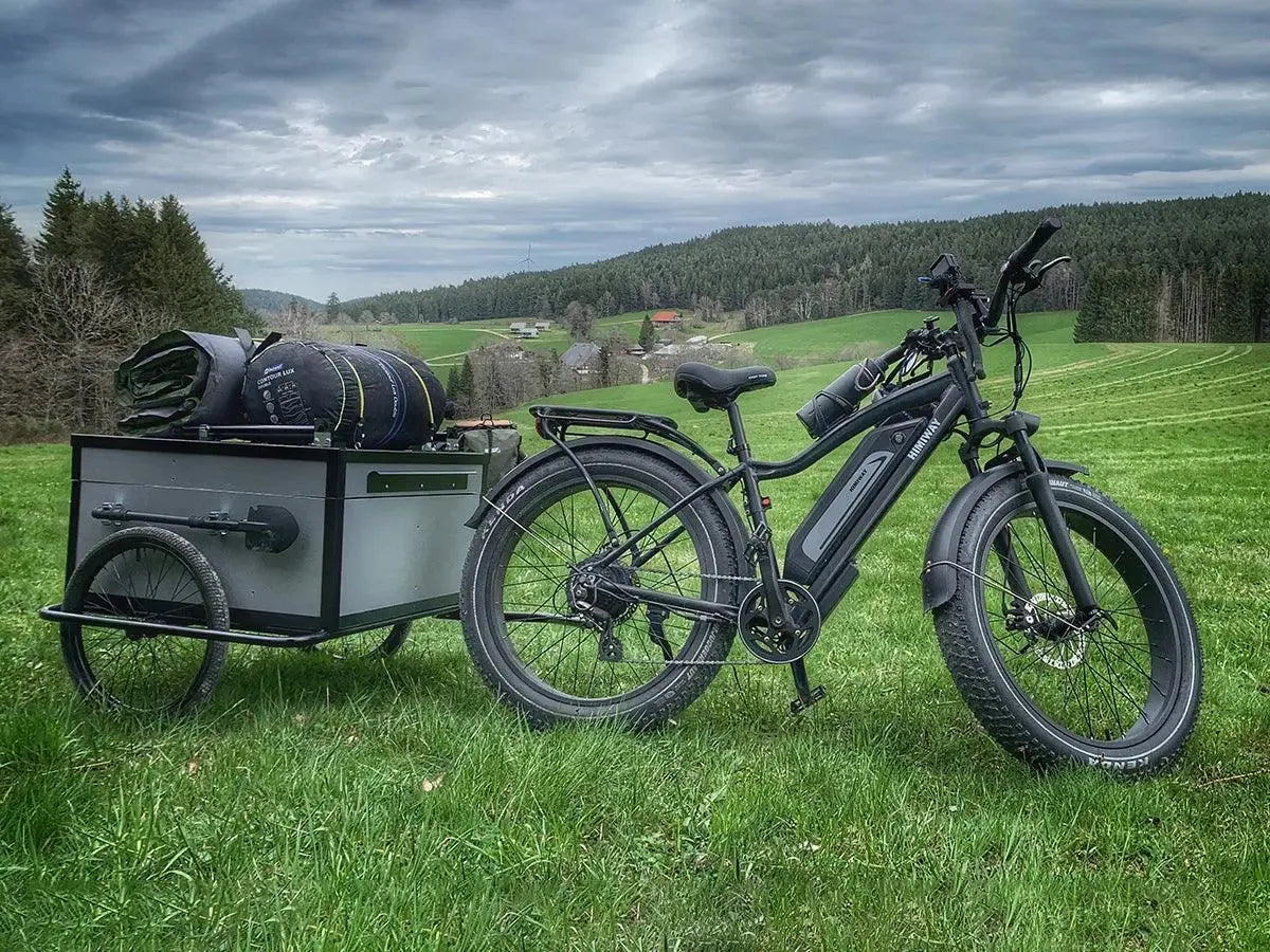 Himiway D3 Cruiser Electric Fat Tire Bike  Electric Bikes Paradise