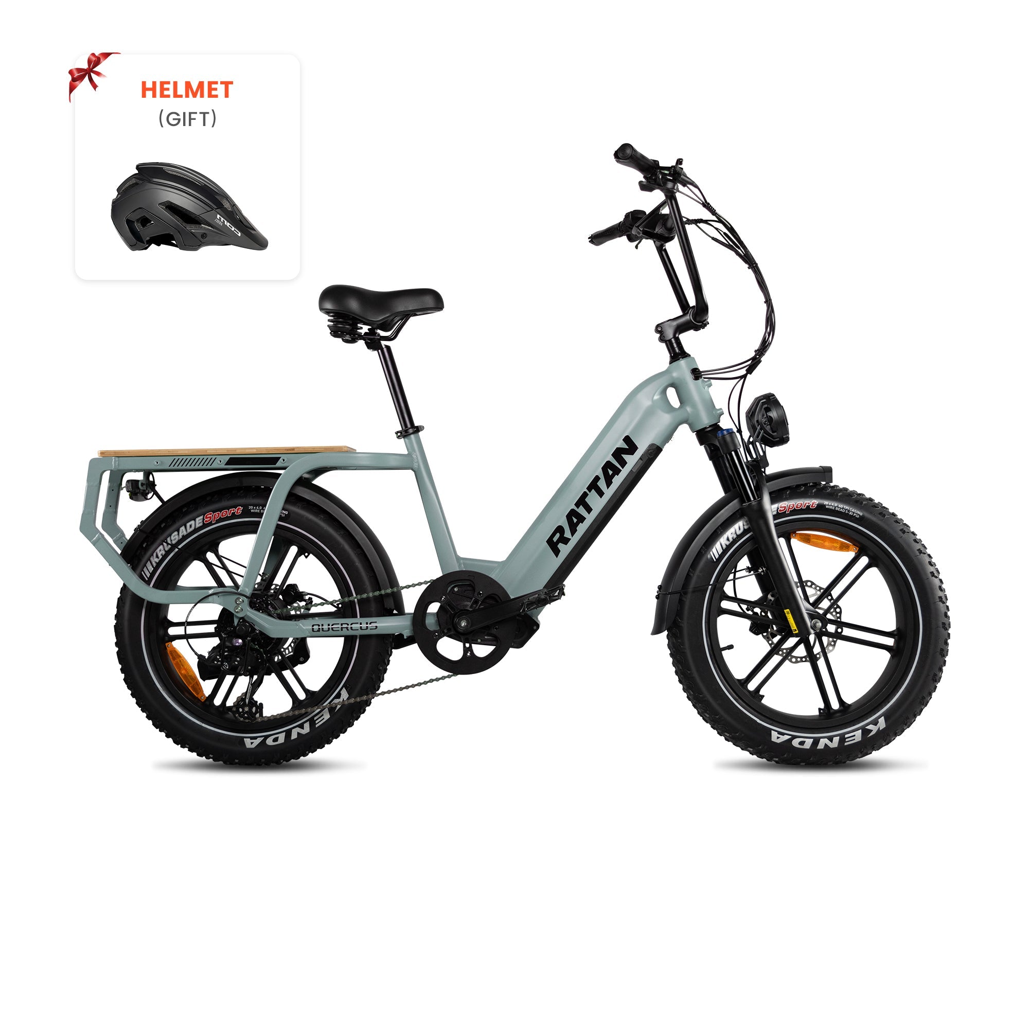 Rattan Quercus Step Thru Fat Tire Electric Cargo Bike