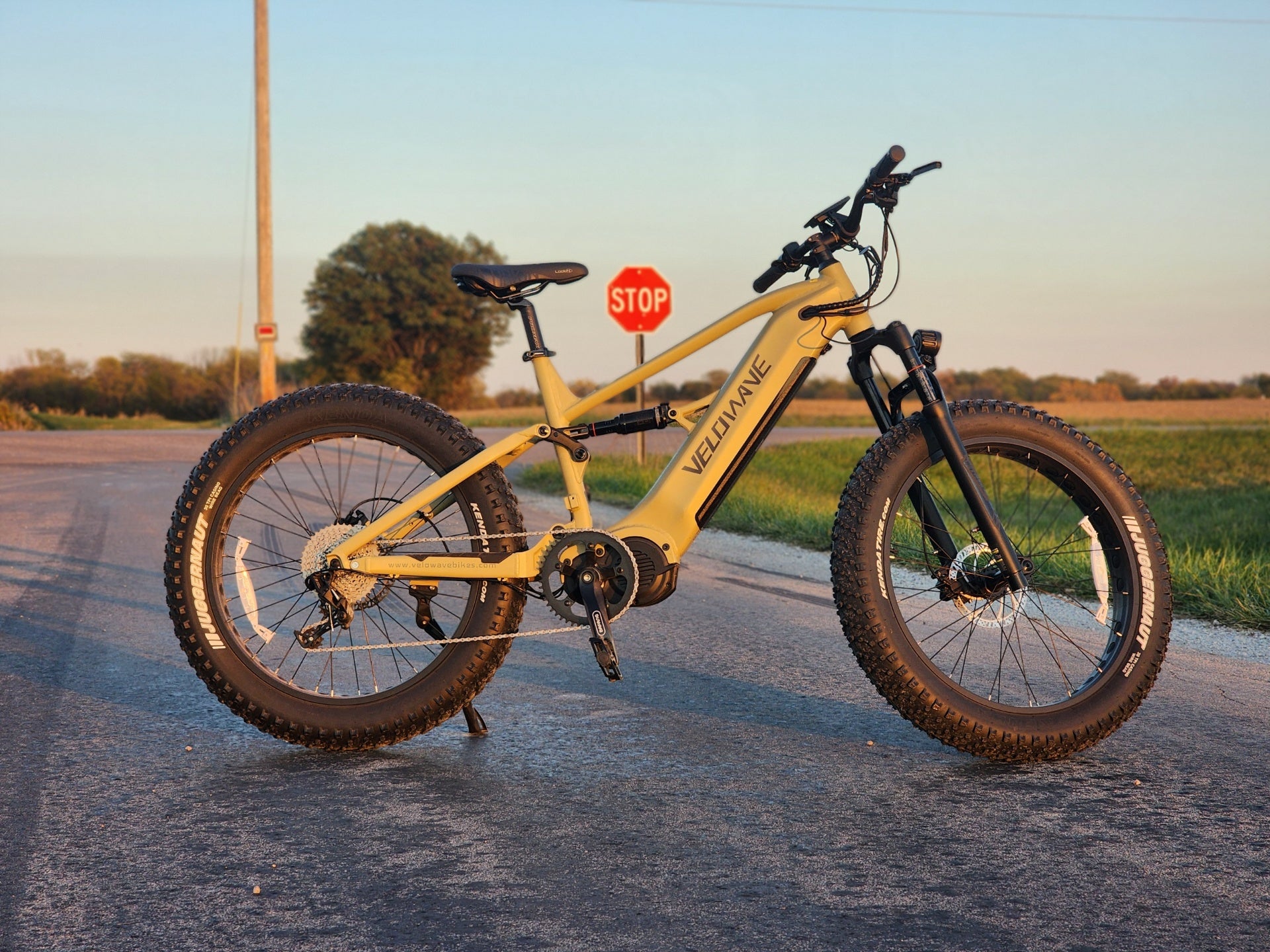 Velowave Brawny XM Full Suspension Electric Mountain Bike