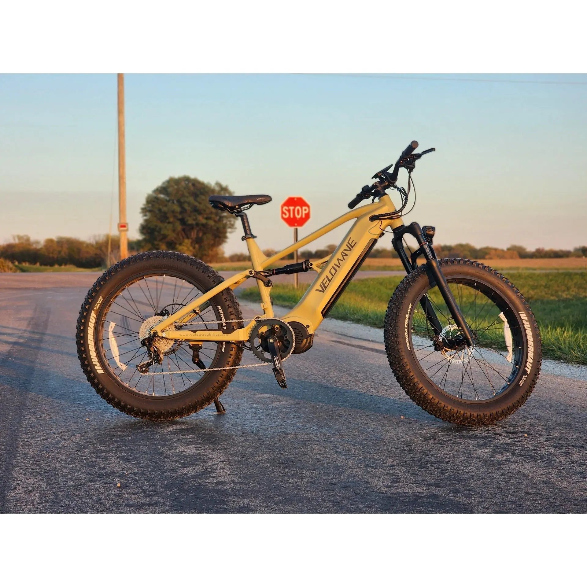 Velowave Brawny XM Full Suspension Electric Mountain Bike 