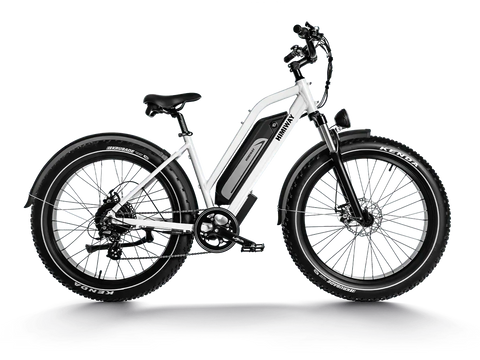 Himiway D3 Cruiser Step-Thru Electric Fat Tire Bike