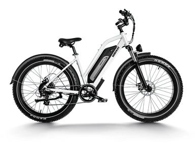 Himiway D3 Cruiser Step-Thru Electric Fat Tire Bike  Electric Bikes Paradise