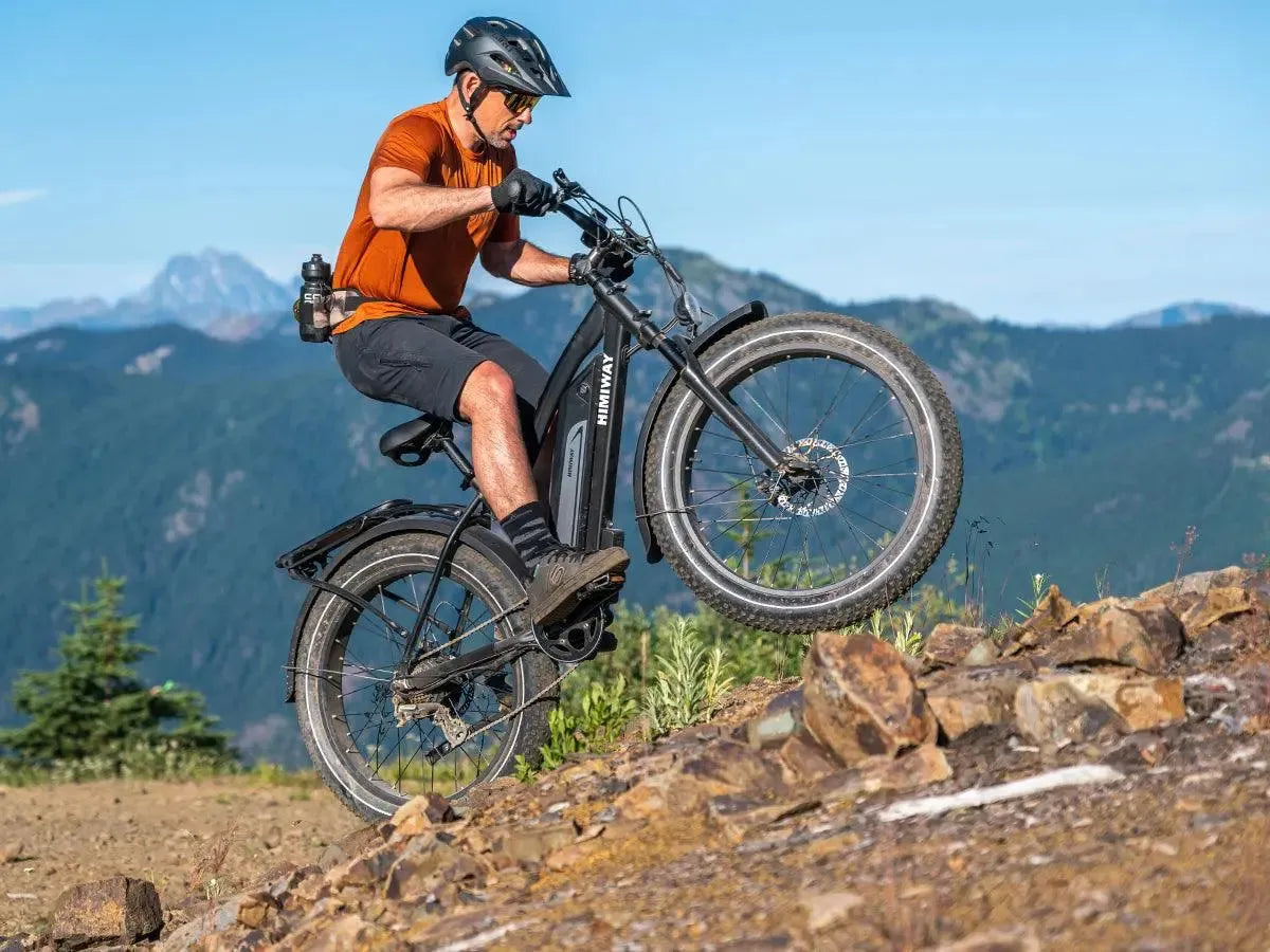 Himiway D3 Cruiser Electric Fat Tire Bike  Electric Bikes Paradise