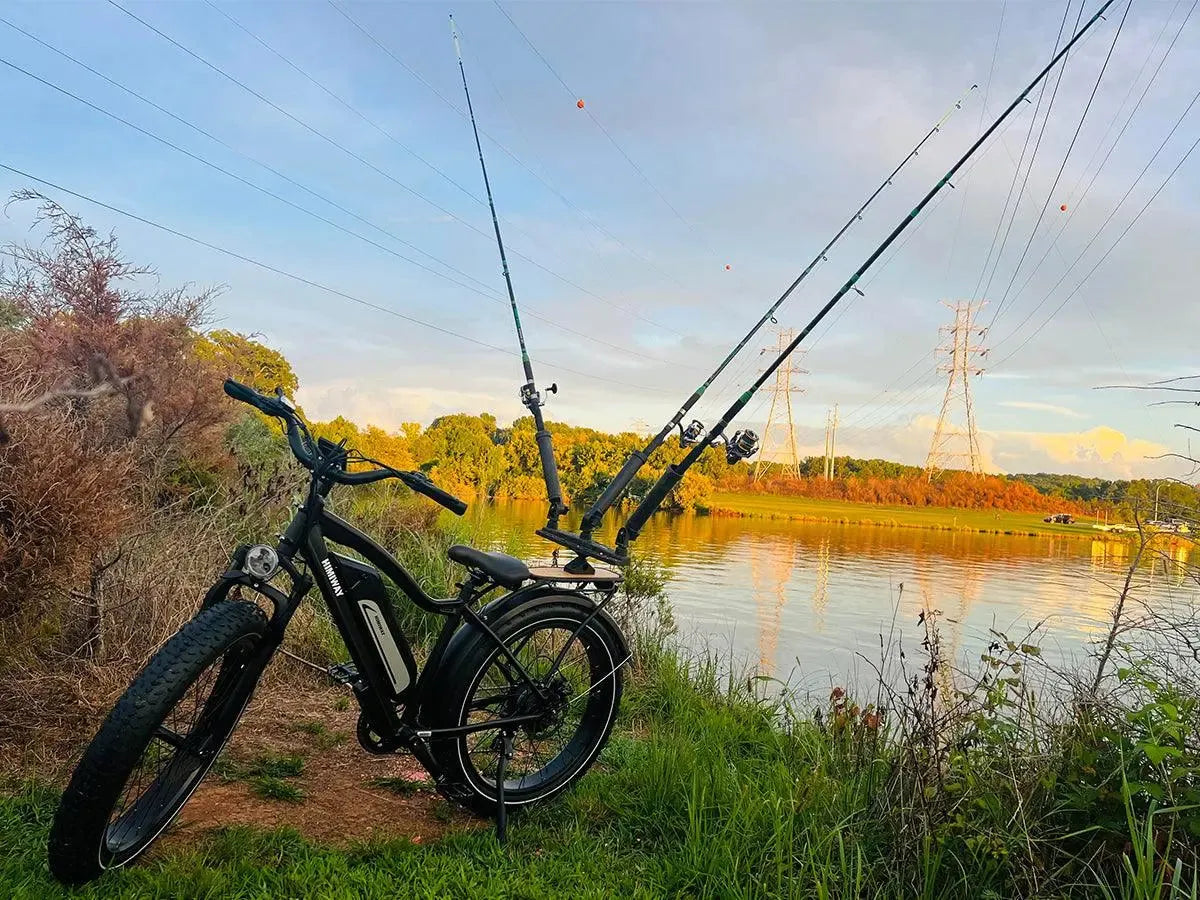 Himiway D3 Cruiser Electric Fat Tire Bike  Electric Bikes Paradise