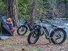 Himiway D3 Cruiser Step-Thru Electric Fat Tire Bike  Electric Bikes Paradise