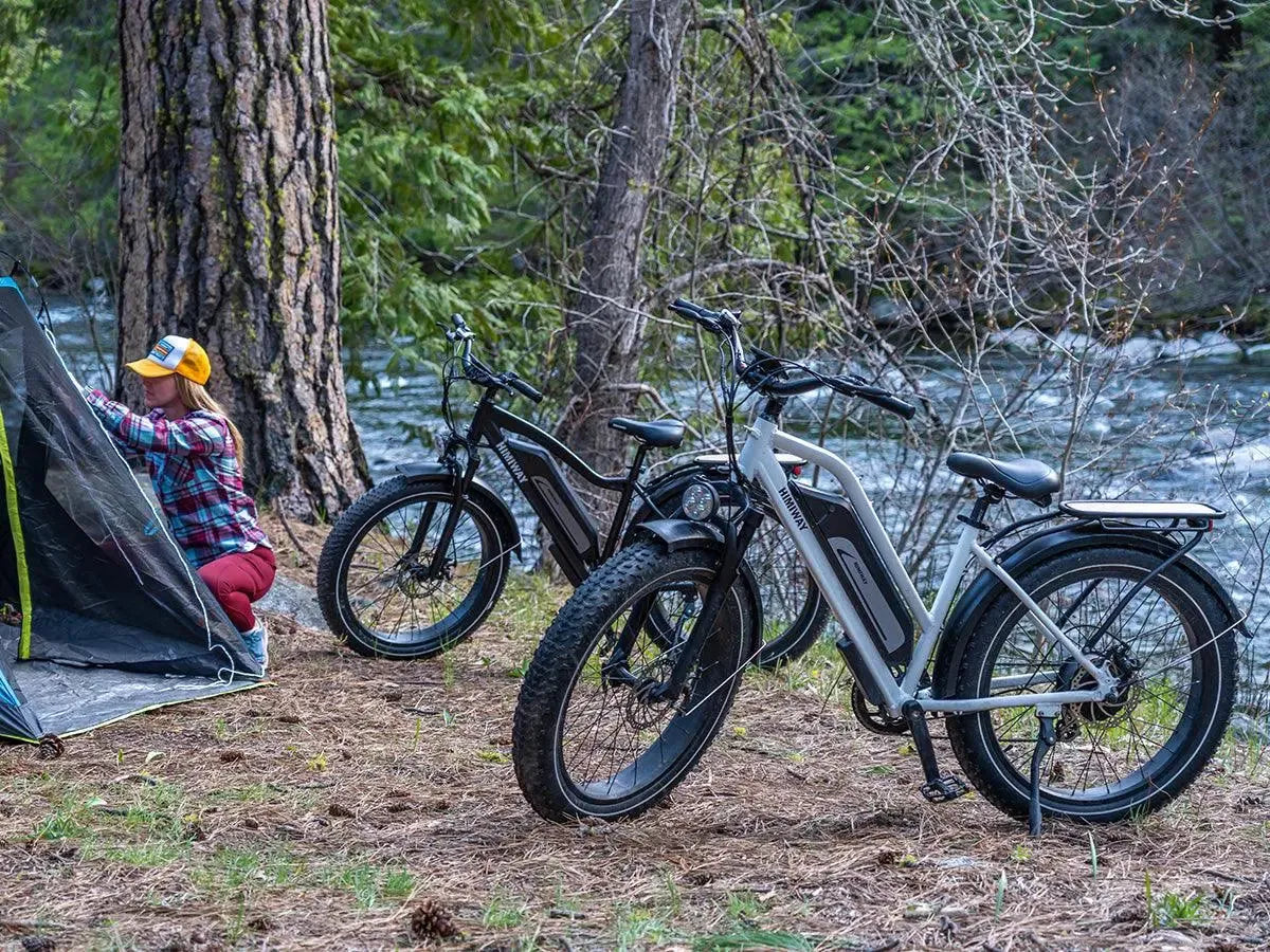 Himiway D3 Cruiser Step-Thru Electric Fat Tire Bike  Electric Bikes Paradise