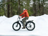Himiway D3 Cruiser Step-Thru Electric Fat Tire Bike  Electric Bikes Paradise