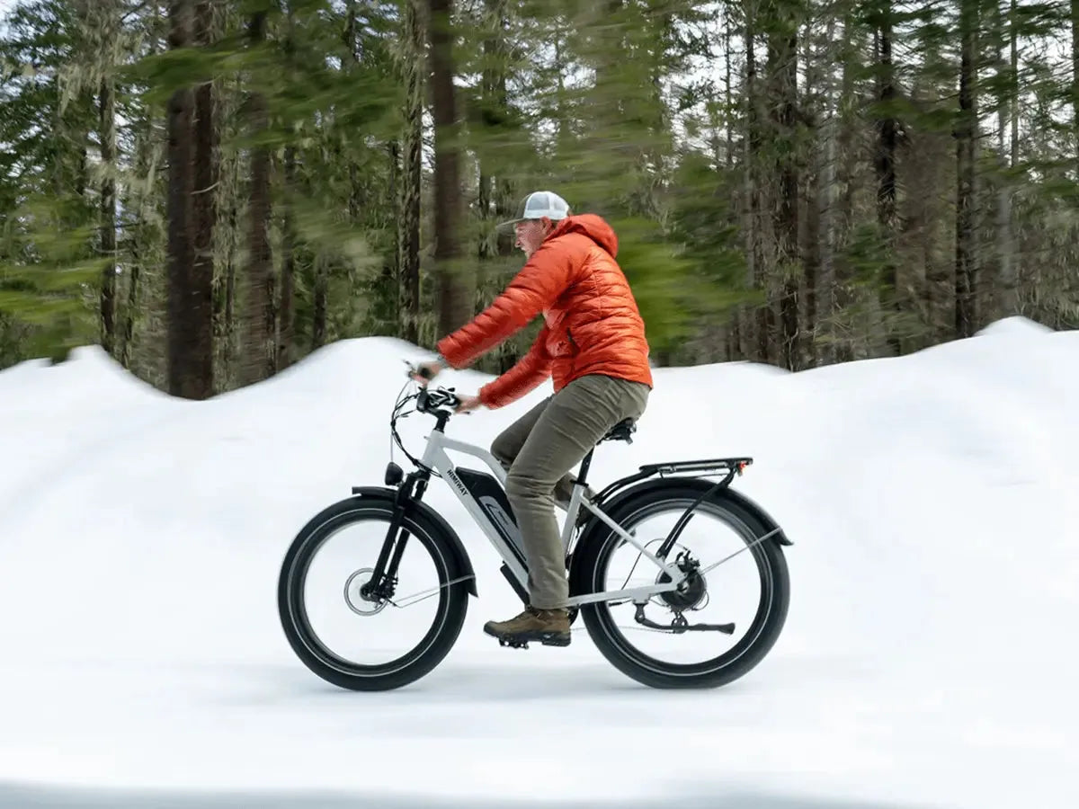 Himiway D3 Cruiser Step-Thru Electric Fat Tire Bike  Electric Bikes Paradise