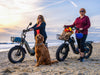 Himiway D5 2.0 20 Inch Electric Fat Tire Bike  Electric Bikes Paradise
