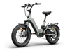 Himiway D5 2.0 20 Inch Electric Fat Tire Bike  Electric Bikes Paradise